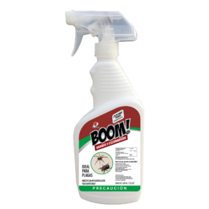 Arañas y Escarabajos