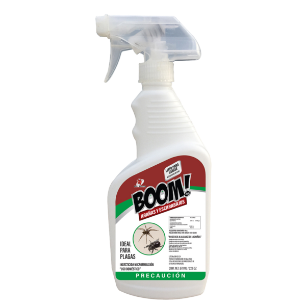 Arañas y Escarabajos